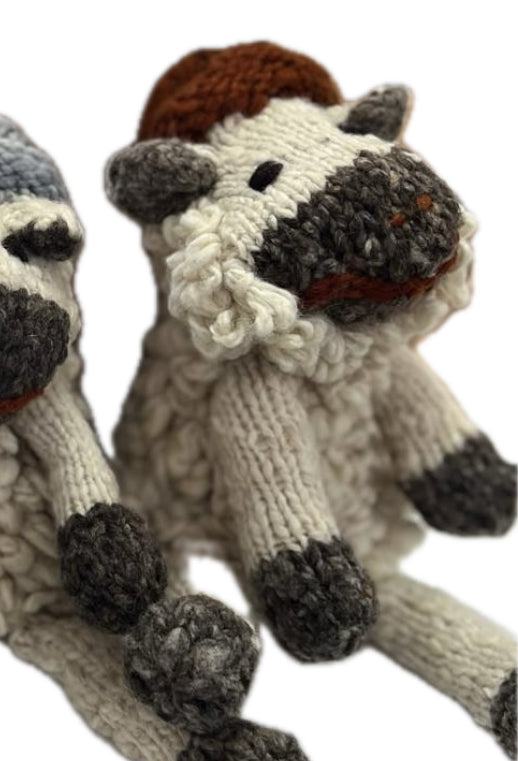 kenana knitters || shamba sheep