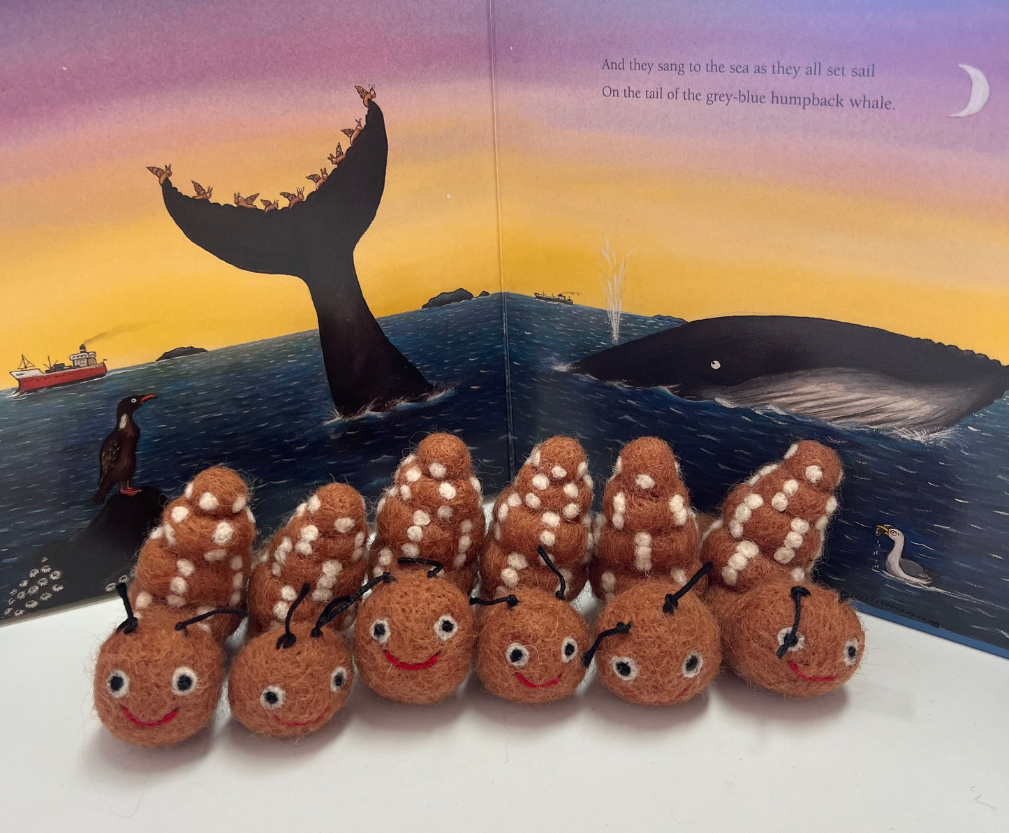 ethik felt || snail and whale