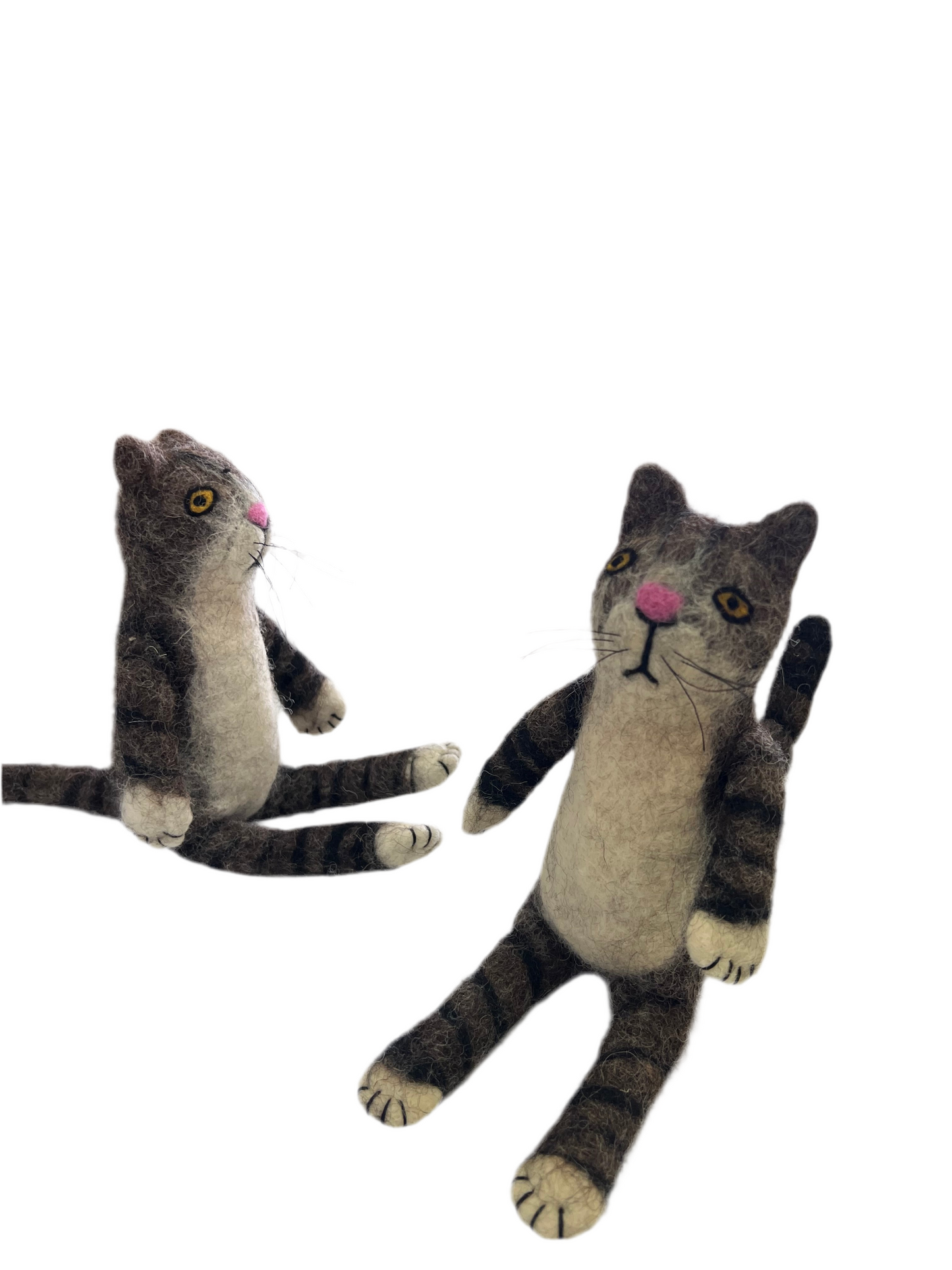 ethik felt || cranky cat