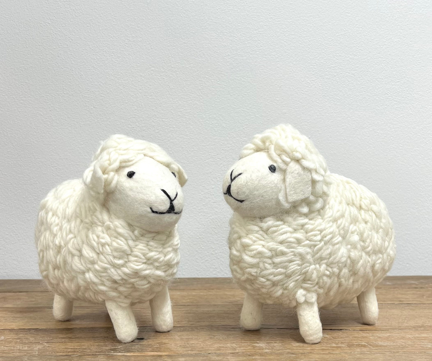 ethik felt || Shane the sheep