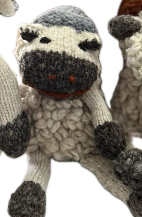 kenana knitters || shamba sheep