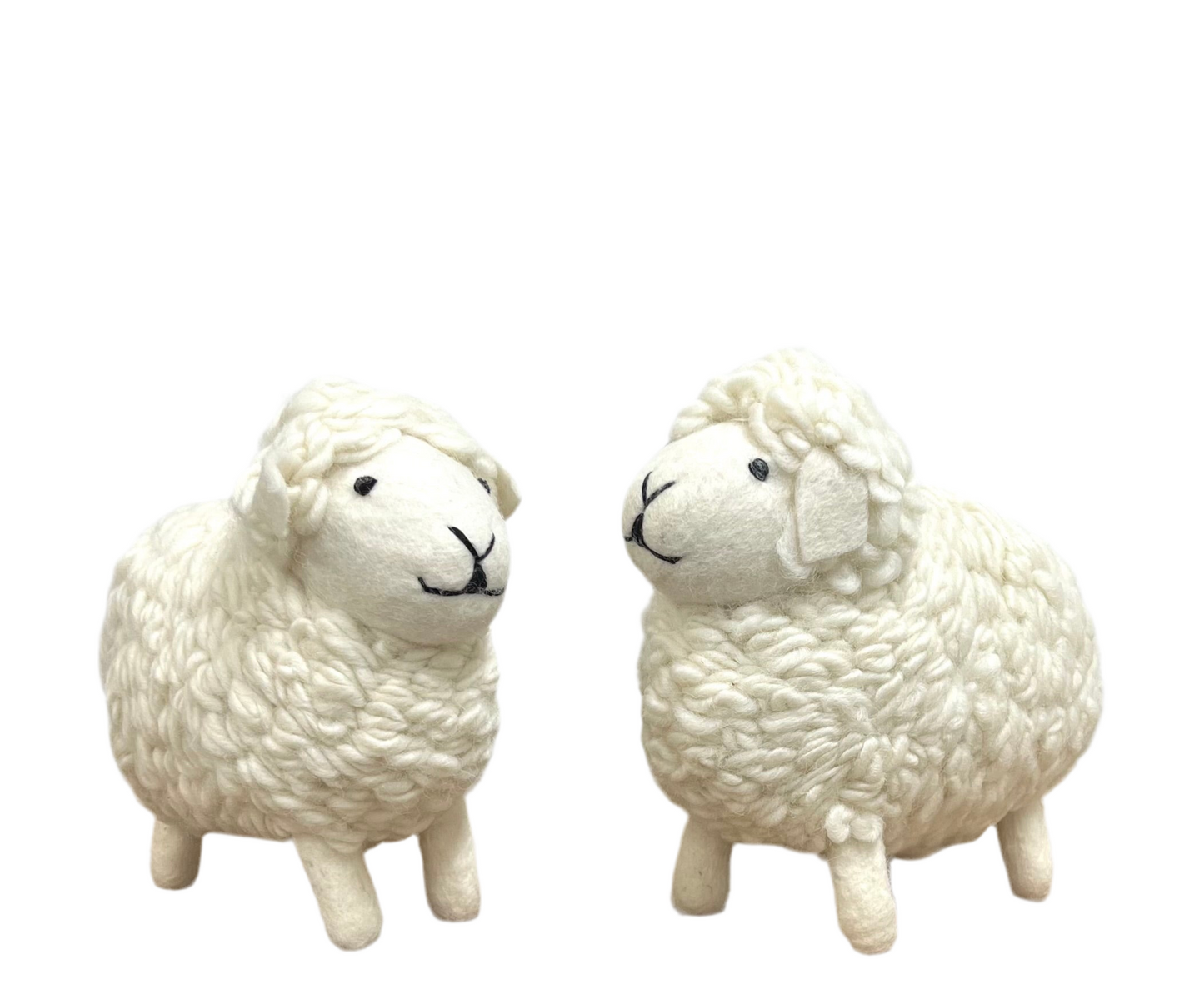 ethik felt || Shane the sheep