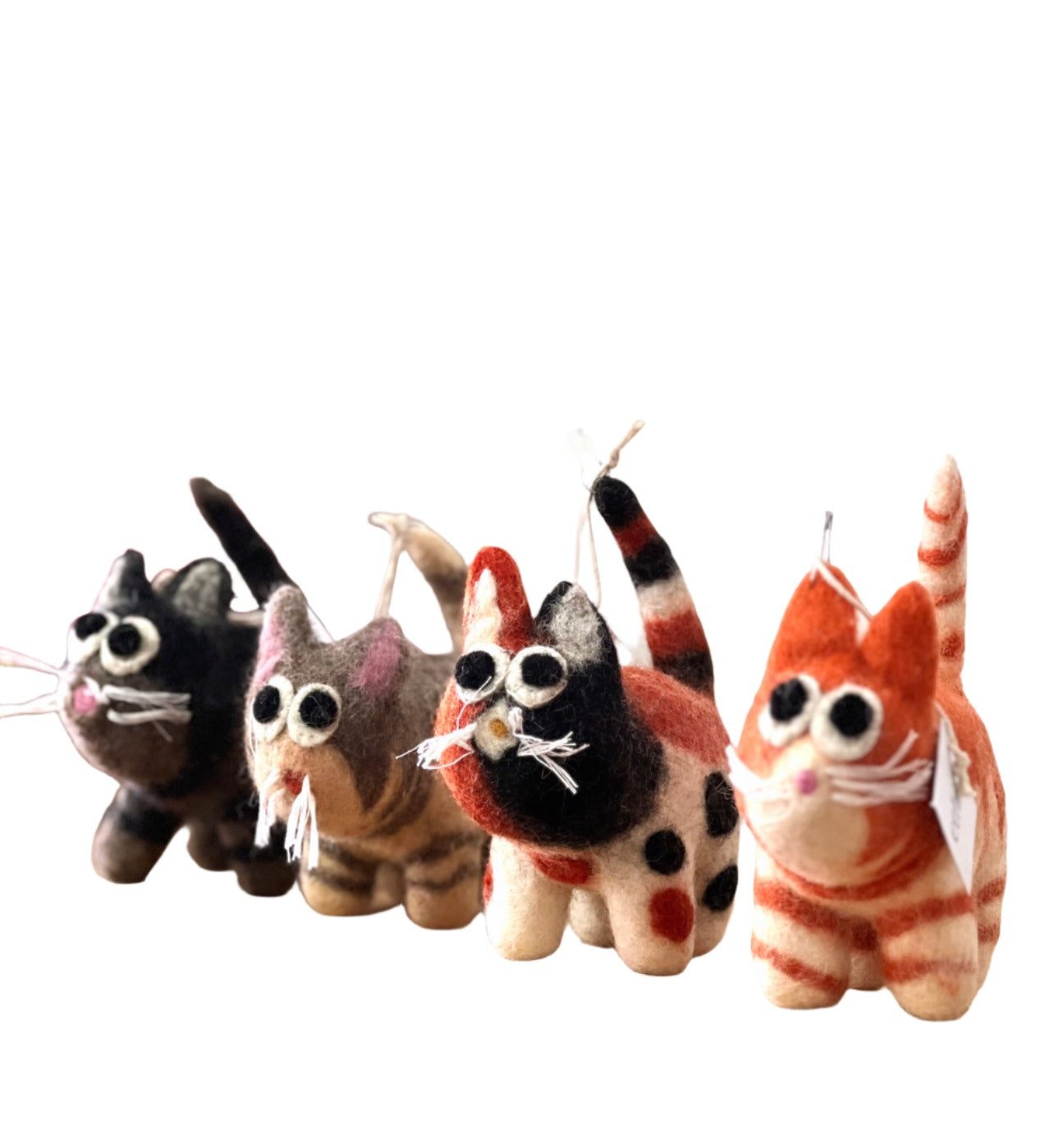 ethik felt || cute cat