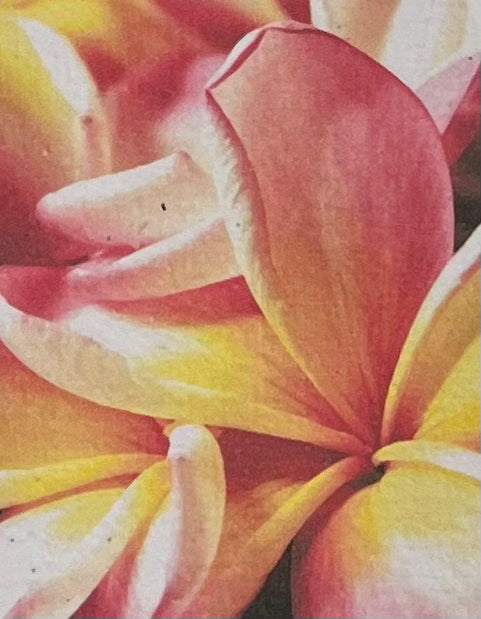 Saraswati paper cards || mini gift cards