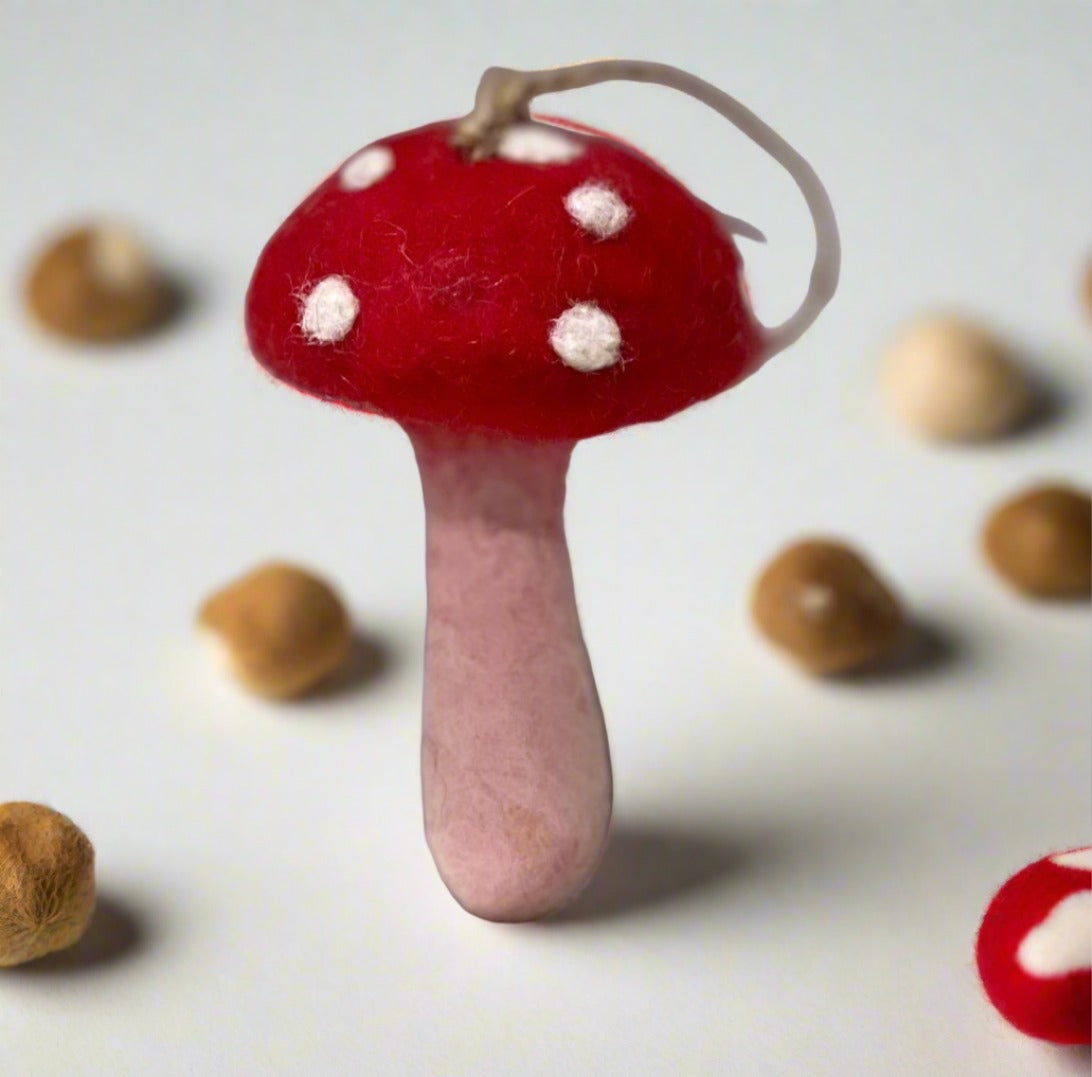 ethik felt || mushroom π decoration