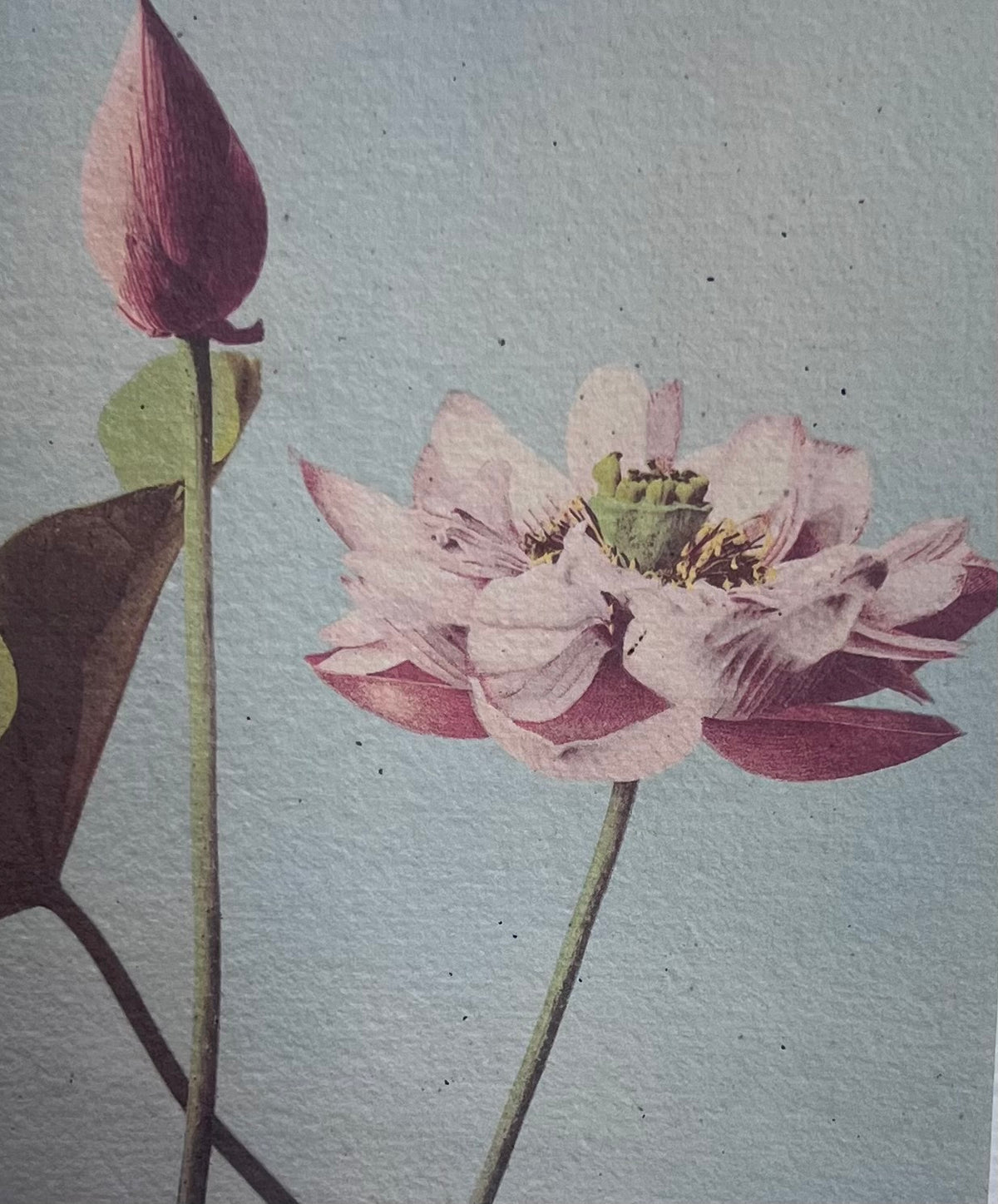 Saraswati paper cards || floral designs