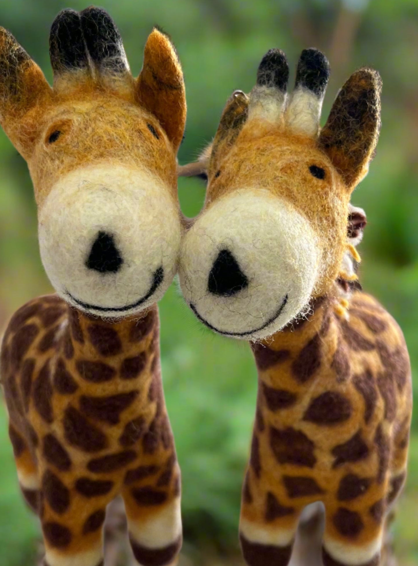 ethik felt || baby giraffe