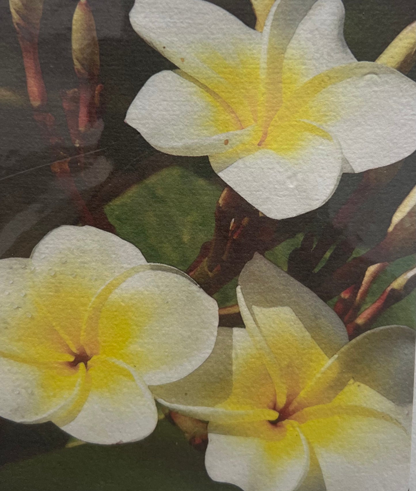 Saraswati paper cards || floral designs