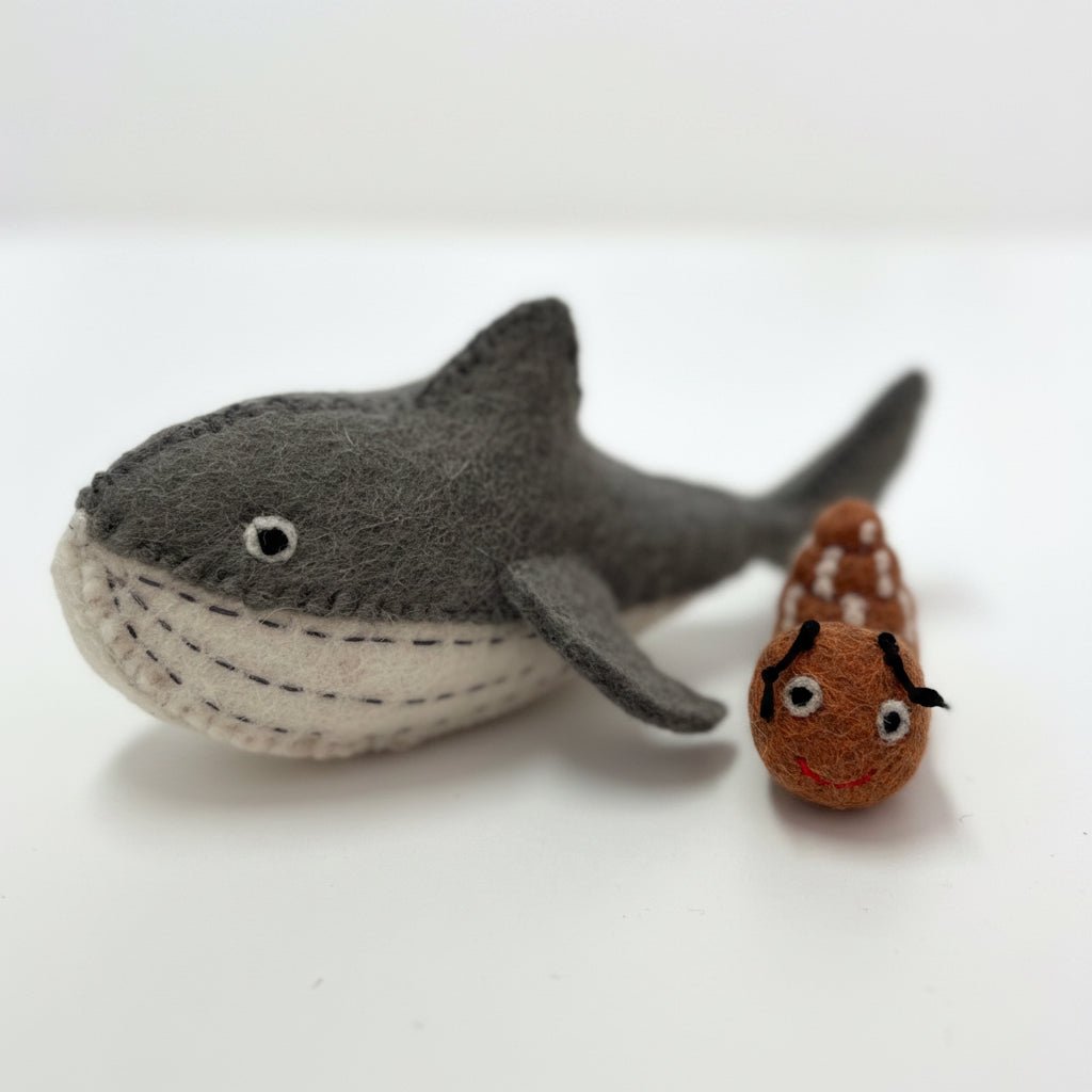 ethik felt || snail and whale