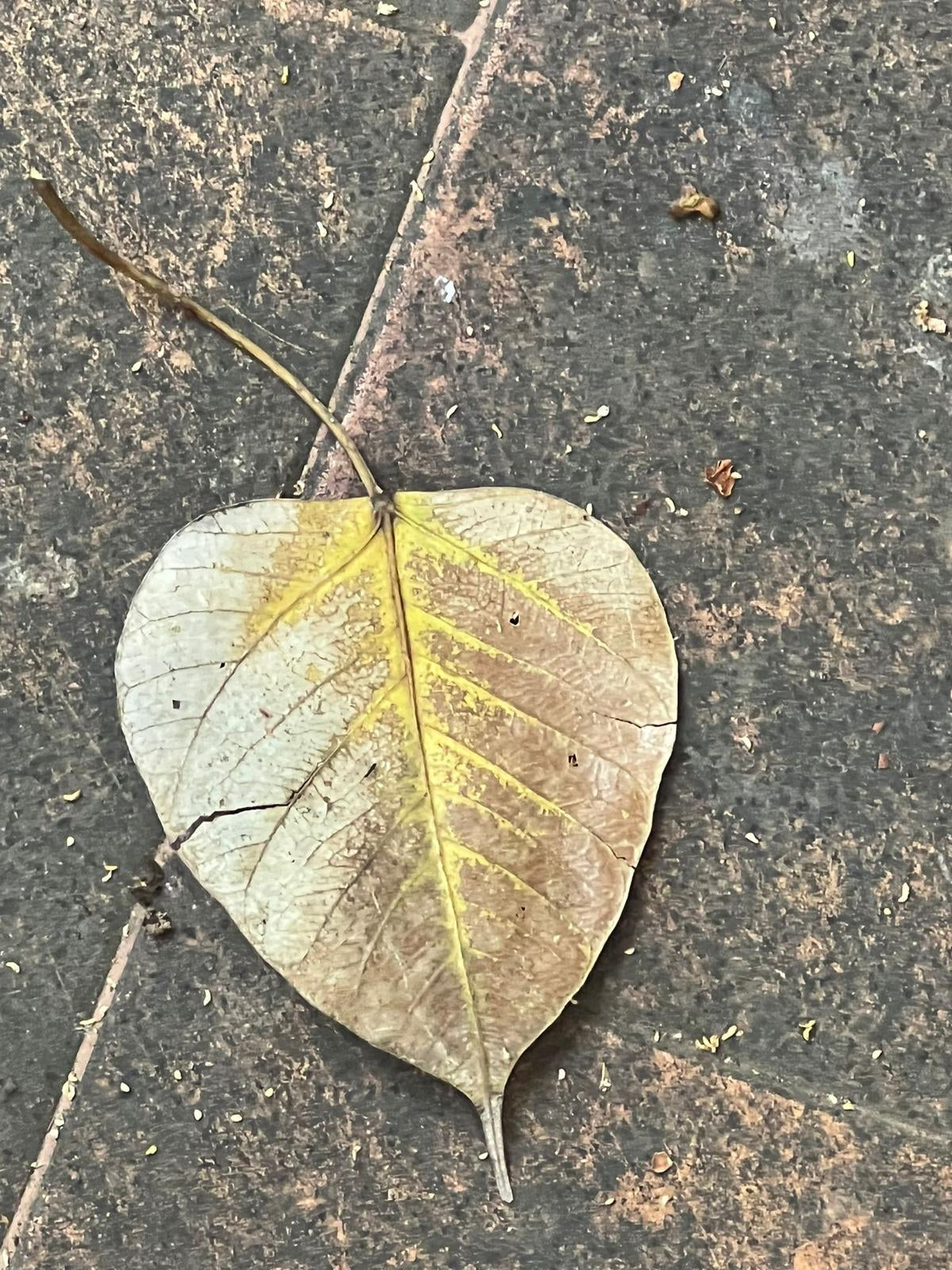 ethik garland || bodhi leaf