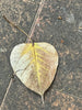 bodhi leaf mobile