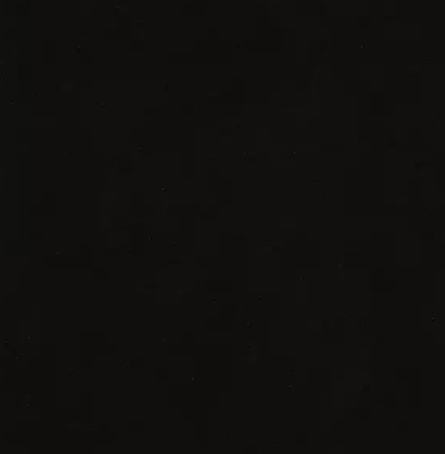 ethik organic cotton || NEW unisex basic tee