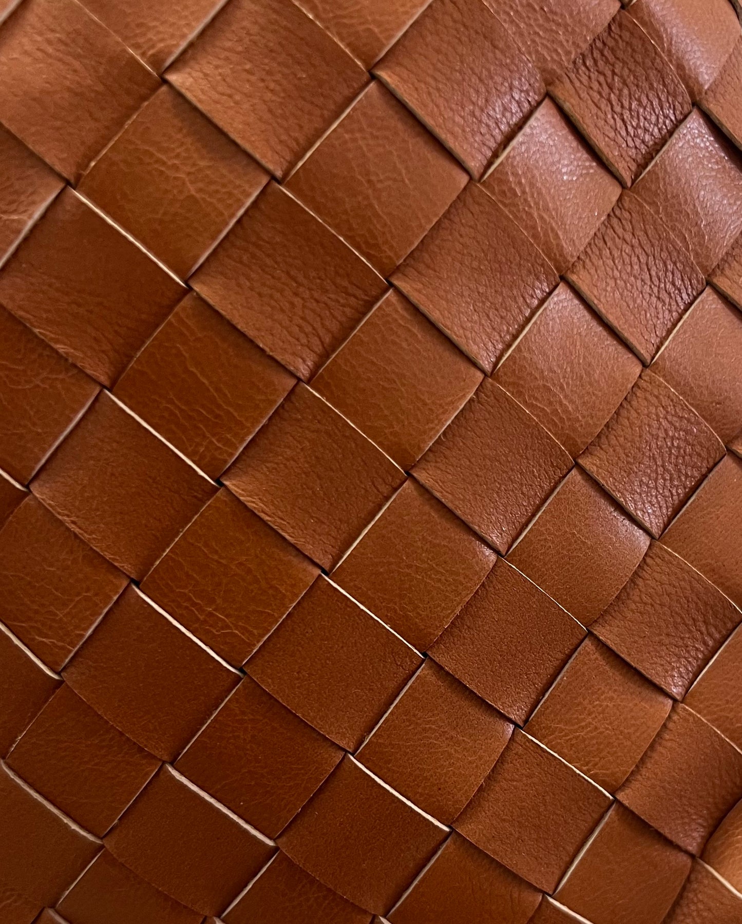 ethik goat leather bag || Cara