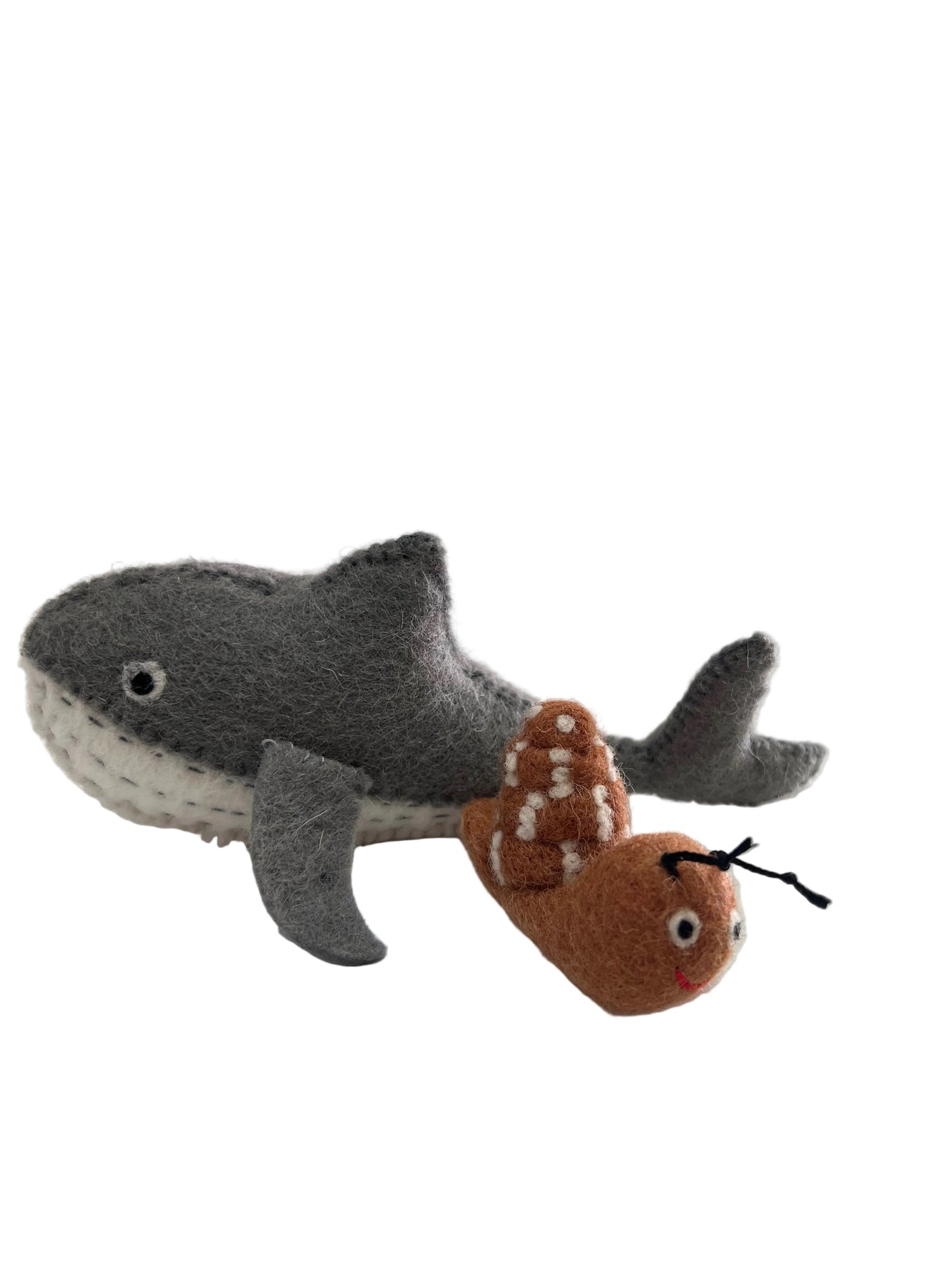 ethik felt || snail and whale