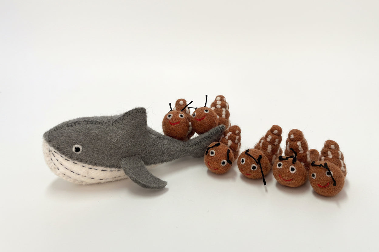 ethik felt || snail and whale