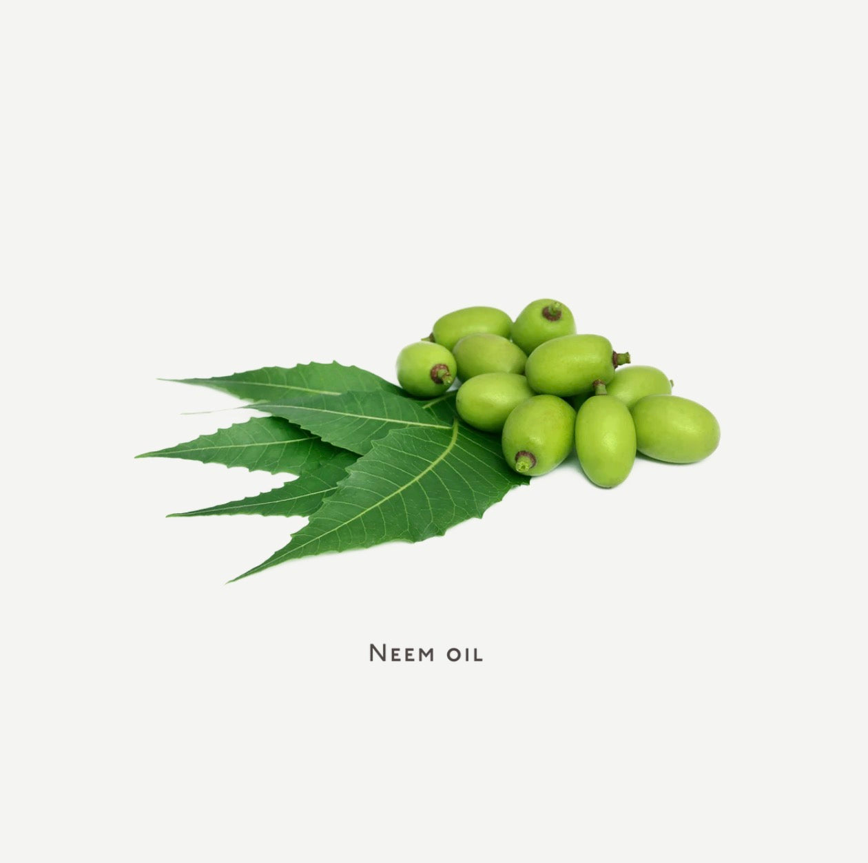 Nuebar || face wash || acne prone or oily skin