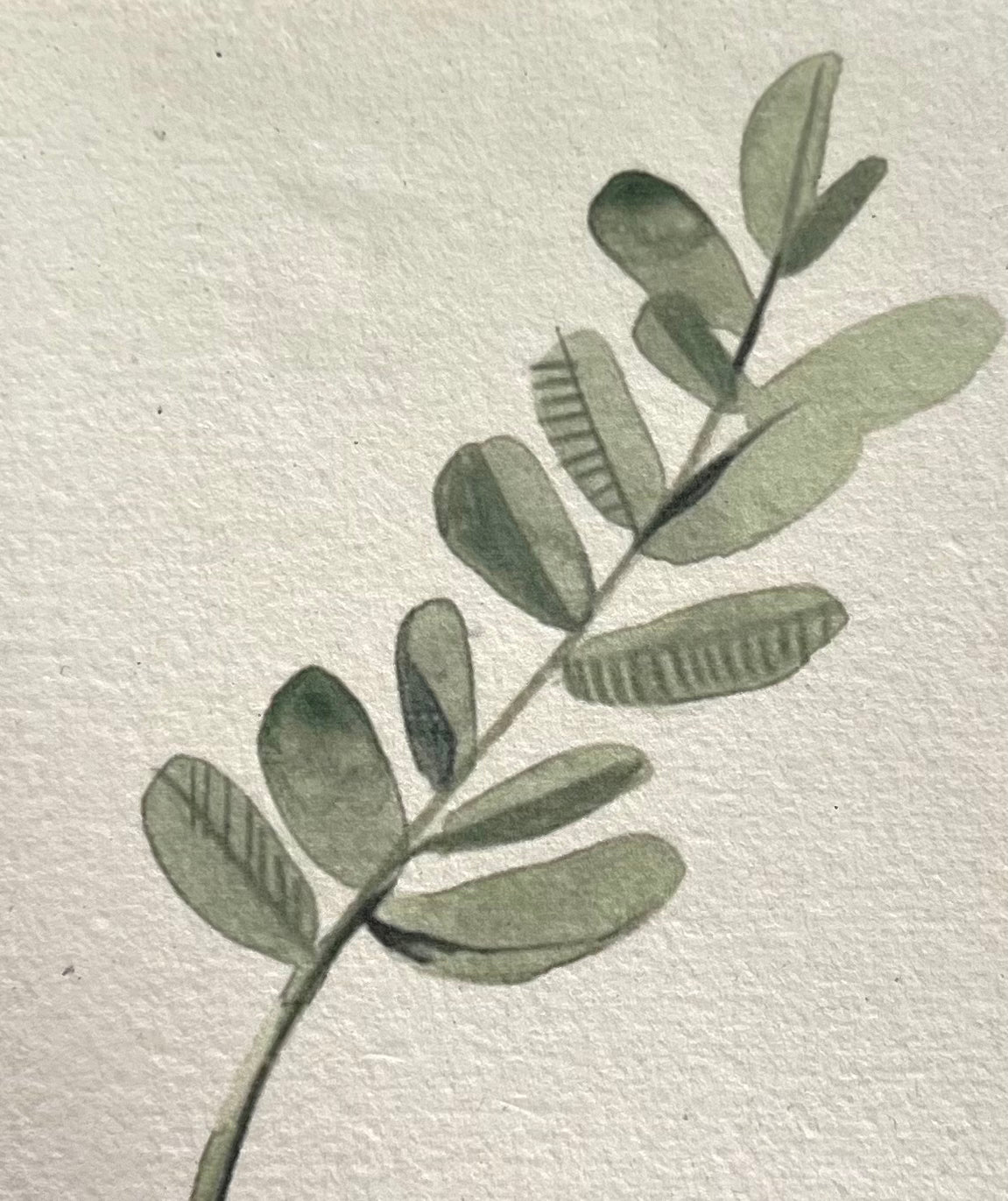 Saraswati paper cards || botanical leaf designs