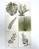 $10 paper cards with “botanical leaf design”