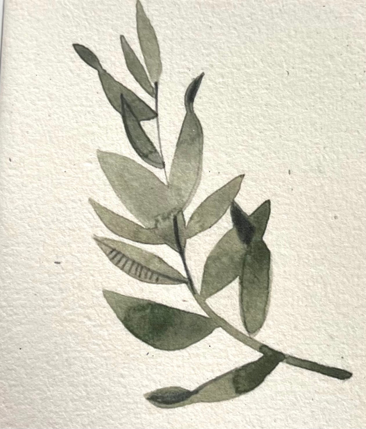 Saraswati paper cards || botanical leaf designs
