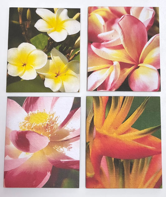 Saraswati paper cards || mini gift cards