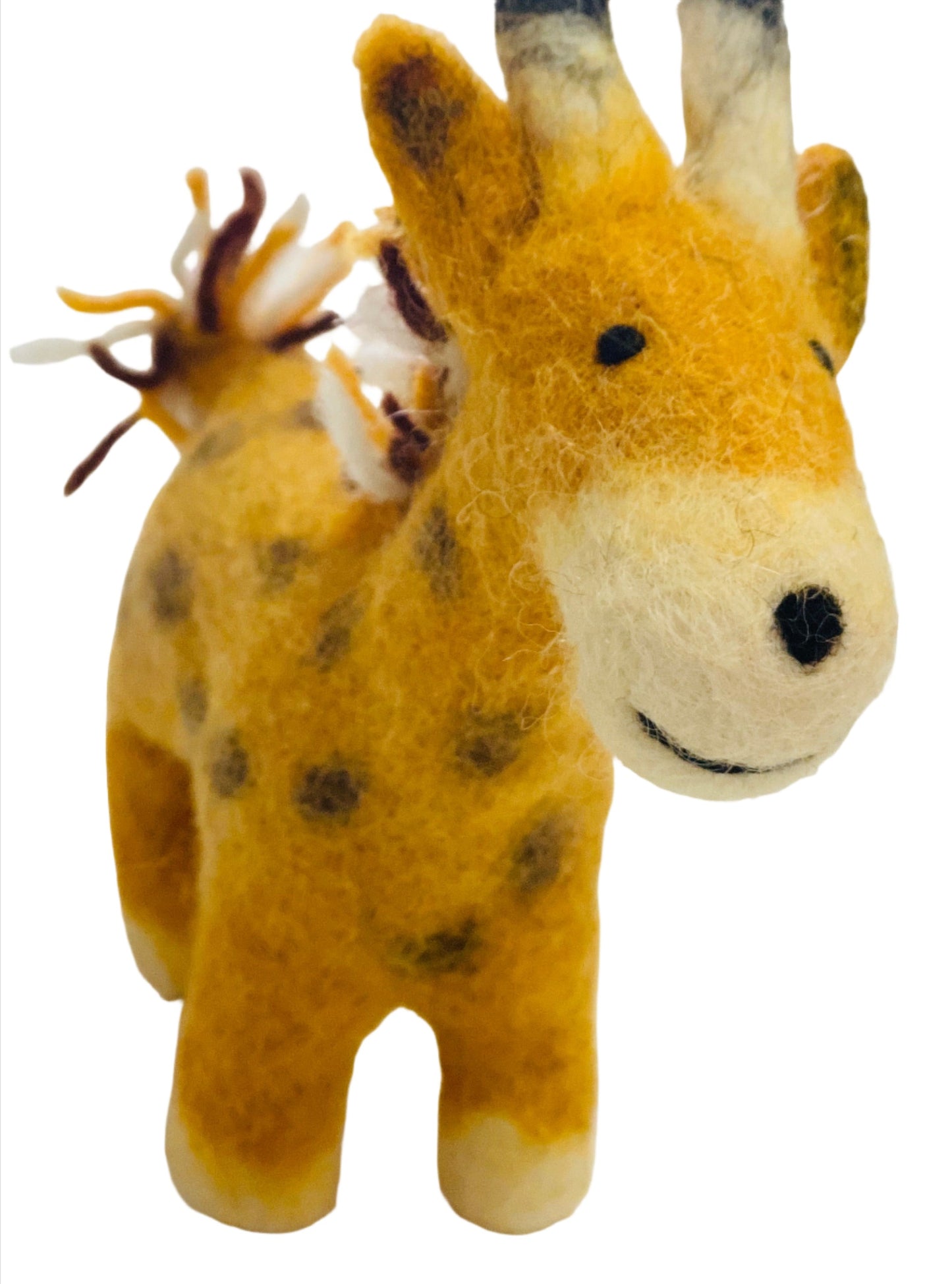 ethik felt || baby giraffe